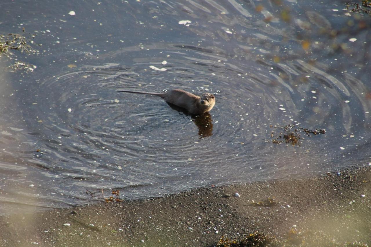 Air An Oir - Skye Self Catering Villa Portree Buitenkant foto